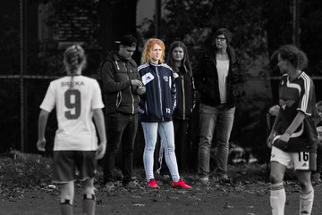 Bild 379 - Frauen Hamburger SV - SV Henstedt Ulzburg : Ergebnis: 0:2